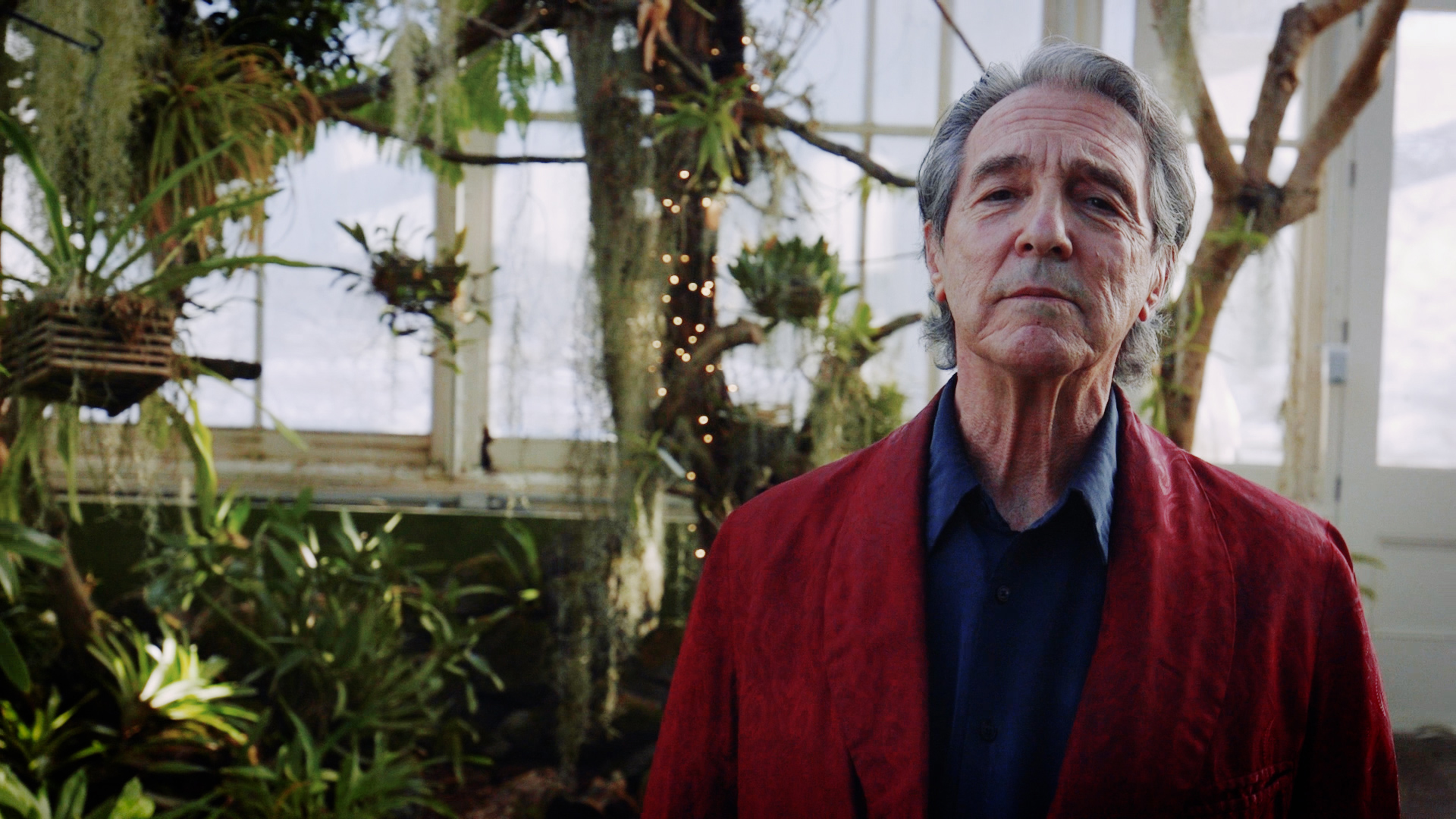 Download a zipped file of promotional materials in the Additional Assets section below.